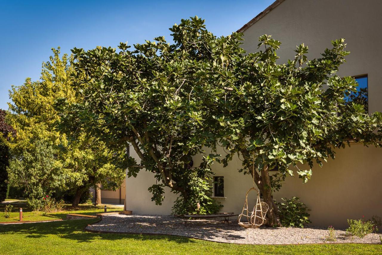 Case Zucchi Bioagriturismo Castelnuovo Fogliani Екстериор снимка